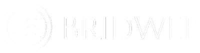 Bridport Websites logo. Contact us to get website design and development services in and around Bridport.